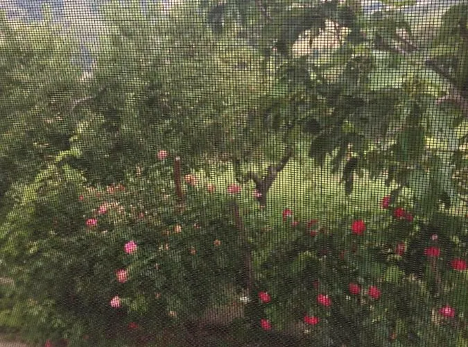 La casa nel verde